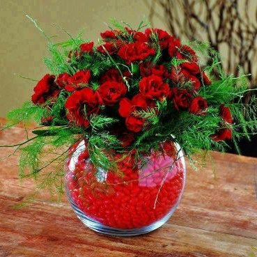 Profile Picture of José Carlos Menezes De Souzas (@JosCarl08785792) on Twitter