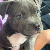 Profile Picture of Rohit Puri (@rohitpuri-py4fe) on Youtube