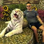 Profile Picture of Michaell Davidson (@david_z_palmen) on Instagram