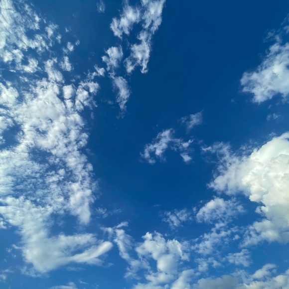 Profile Picture of Daniella Santiago (@daniellasant221) on Poshmark