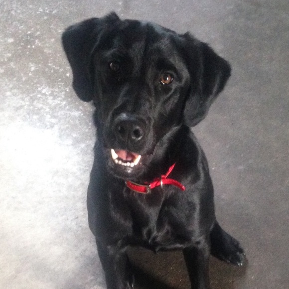 Profile Picture of Grant Davis (@grantdavis789) on Poshmark