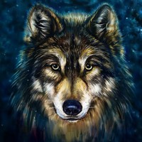 Profile Picture of Rusty Roberts (@rusty-roberts-18) on Quora