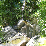 Profile Picture of Marina.rancati (@marina.rancati) on Flickr