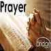 Profile Picture of Paul Winder (@paulw3765) on Pinterest