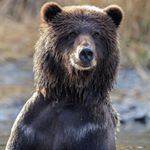 Profile Picture of Chris Anger (@canger1111) on Instagram