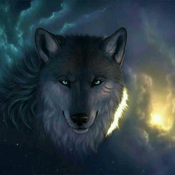 Profile Picture of Artemio Tovar (@artemio76) on Poshmark