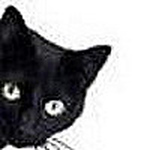 Profile Picture of hugos31 (@hugos31) on Flickr