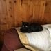 Profile Picture of Kim Kenney (@kim.kenney.92505) on Facebook