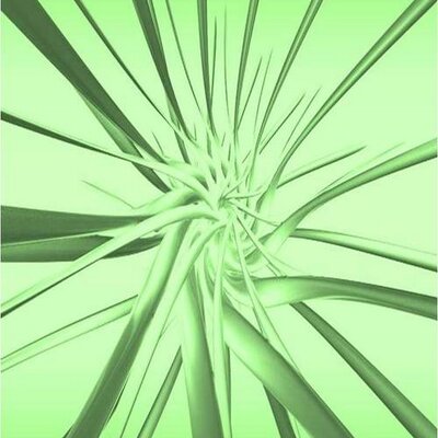 Profile Picture of Brett Wightman (@goEcocentricity) on Twitter