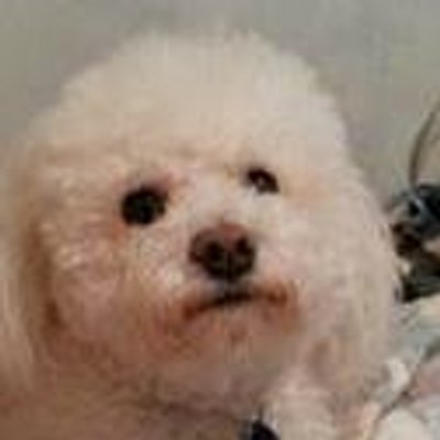Profile Picture of Nancy Lyn McPherson (@nandgmack) on Twitter