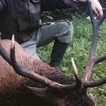 Profile Picture of David Musil (@musil.david) on Instagram