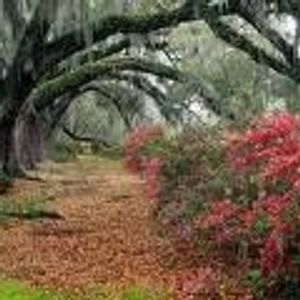 Profile Picture of Richard Noel Fezrnandes (@noel.richard) on Myspace