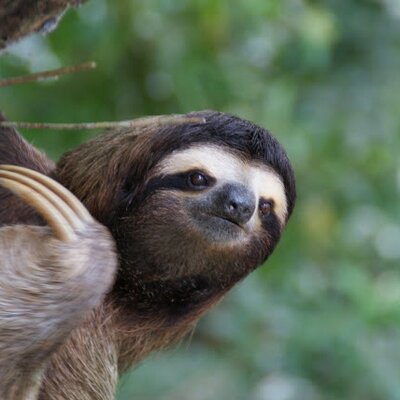Profile Picture of Caleb Harvey (@CalebHarvey791) on Twitter