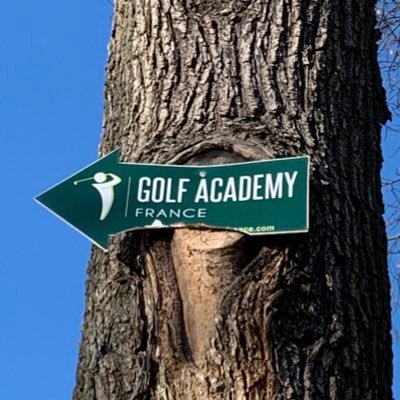 Profile Picture of Jeff DeToro (@Hackknife) on Twitter