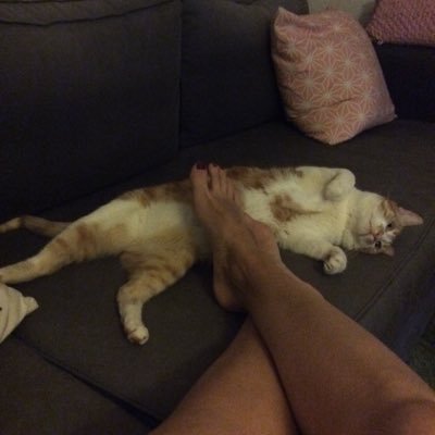 Profile Picture of Julia Medina Bobadilla (@JuliaMedinaBob1) on Twitter