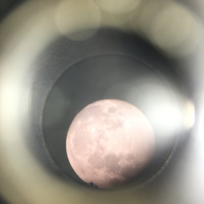 Profile Picture of Chaib Moh (@chaibmoh1) on Twitter