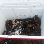 Profile Picture of Patrick Ackley (@ackleypatrick) on Instagram