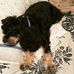 Profile Picture of Mary Ellen Furbee (@Mary-Ellen-Furbee) on Facebook