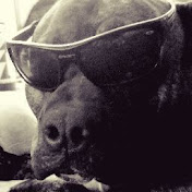 Profile Picture of Pamela Jessup (@PitBullmom420) on Youtube