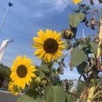 Truda Russell - Facebook Profile Picture of Truda Russell (@Truda-Russell) on Facebook