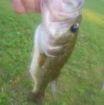 Profile Picture of Scott Tillett (@kronic667) on Facebook