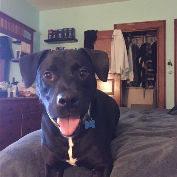 Profile Picture of Chris Troff (@troffer20) on Poshmark