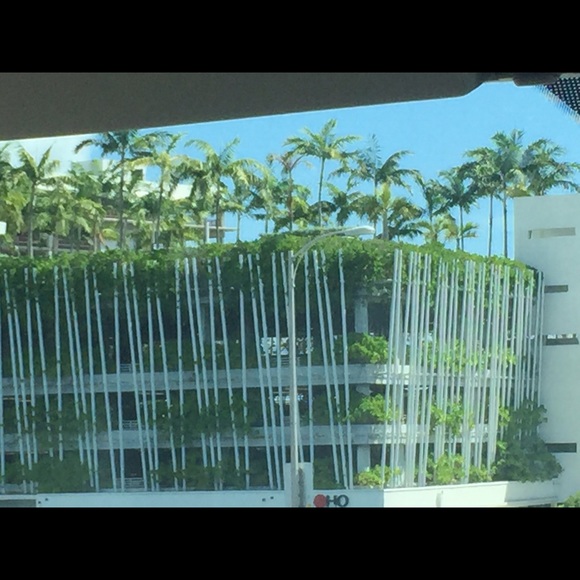 Profile Picture of Amy Sejas (@amyseyes) on Poshmark