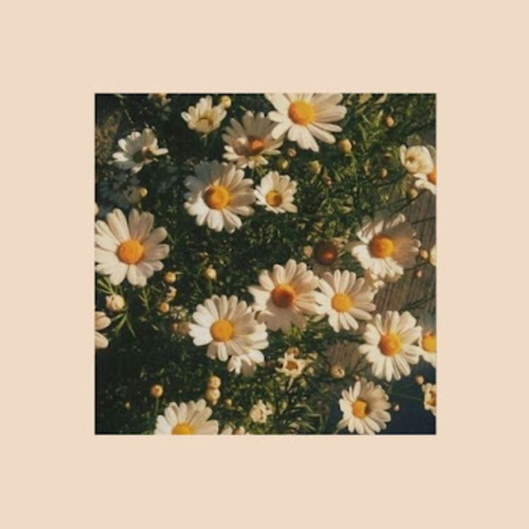 Profile Picture of Emily Foord (@emjfoord) on Poshmark