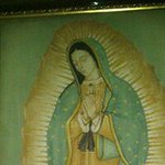 Profile Picture of David Macchi (@monomacchi) on Instagram