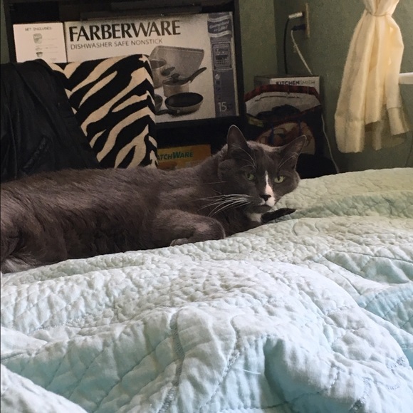 Halie Goeman - Poshmark Profile Picture of Halie Goeman (@hgoeman) on Poshmark