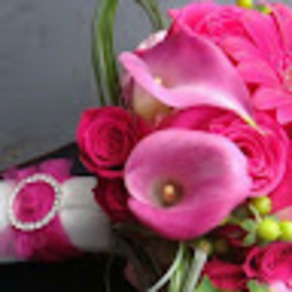 Darlene Clemson - Poshmark Profile Picture of Darlene Clemson (@darlene_clemson) on Poshmark