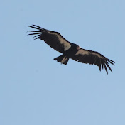 Profile Picture of John Dlugolecki (@johndlugolecki1926) on Youtube