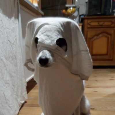 Profile Picture of Massé Laurent (@MassLaurent5) on Twitter