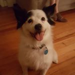 Profile Picture of Michael Paul Vastano (@michael_paul_vastano) on Instagram