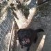 Profile Picture of Sherry Travis (@sherry.travis.1800) on Facebook