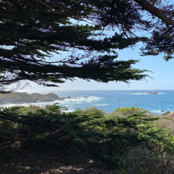 Profile Picture of Amelia Rojas (@rojasamelia71) on Poshmark