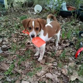 Profile Picture of Lianna Decarr (@liannadecarr) on Instagram