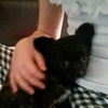 Profile Picture of caitlin_coco (@@caitlin_coco) on Tiktok