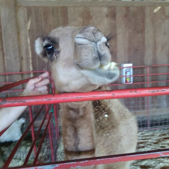 Profile Picture of Billie Freeman (@starbreeze23) on Poshmark