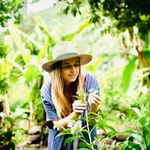 Profile Picture of Julia Bentley 🔅 Herbalist (@thejuliabentley) on Instagram