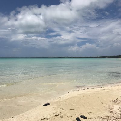 Profile Picture of David O'Dell (@DavidTilly1209) on Twitter