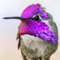 Profile Picture of Angela B Rountree (@angela-b-rountree) on Quora