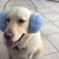 Profile Picture of Emily Aislabie (@emily-aislabie) on Quora
