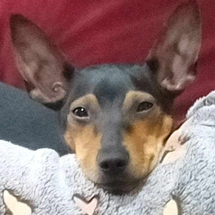 Profile Picture of ele (@nora.link) on Tiktok