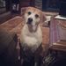 Profile Picture of Deborah Bitner (@bitnermom) on Pinterest