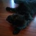 Profile Picture of Tina Kaplan (@tina.kaplan.39) on Facebook
