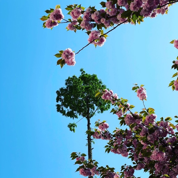 Profile Picture of Winnie Huang (@winniehuang602) on Poshmark