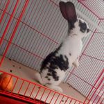 Profile Picture of Steven Oddo (@oddo.steven) on Instagram