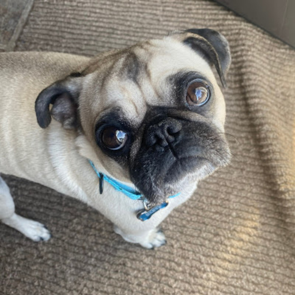 Profile Picture of Emily Baskall (@emilybaskall) on Poshmark