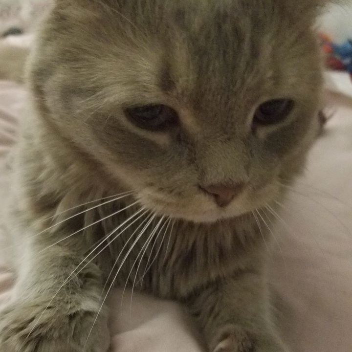 Profile Picture of limjihun (@limjihun) on Tiktok